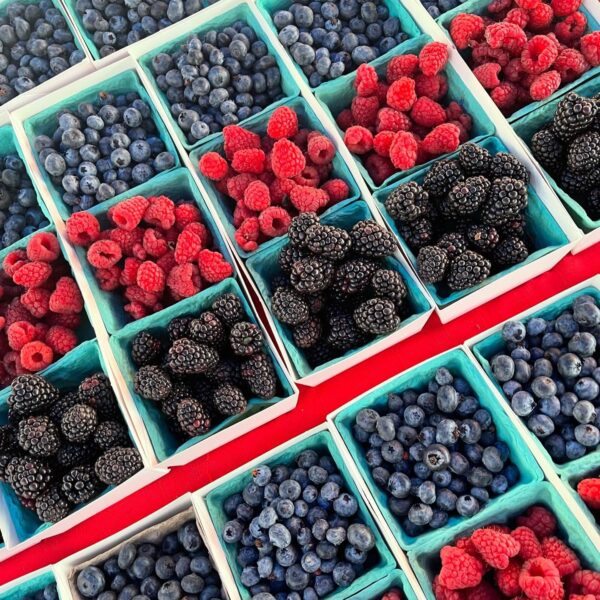Fruit