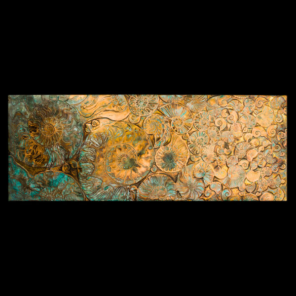 Ammonite Assemblage Horizontal (EB 1253)
