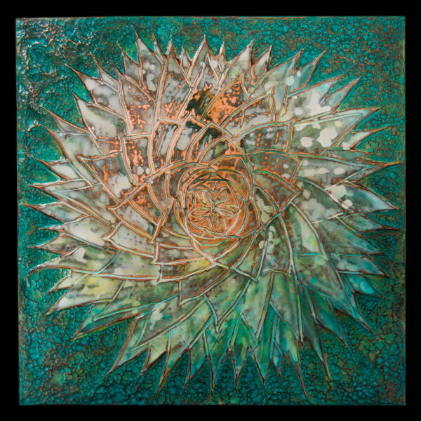 Spiral Aloe.(EB 1203)